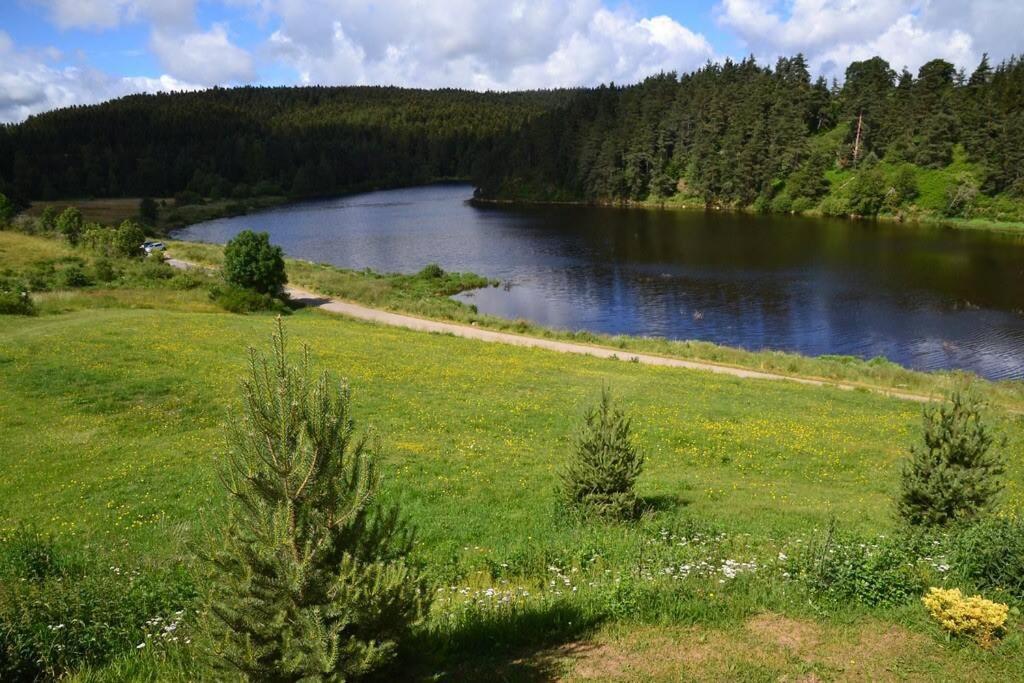 Marlhes Appartement Dans Le Parc Du Pilat المظهر الخارجي الصورة